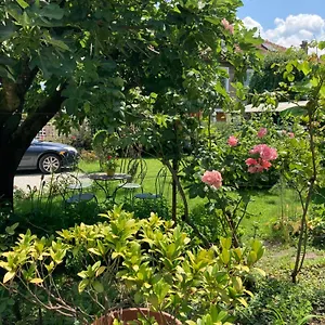 https://la-maison-dalice-aix-les-bains.hotels-rhonealpes.com